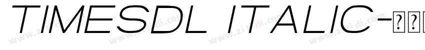 TimesDL Italic字体转换
